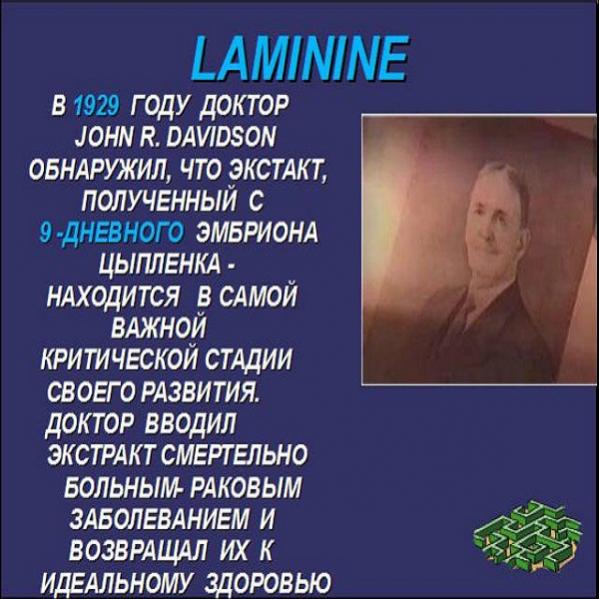 ЛАМИНИН!!!-Хочу поделиться первыми результатами применения Ламинина по сахарному диабету в Луганской обл.Напишу только о своих результатах личных и знакомых. 1.Вчера очень поздно легли спать и рано пришлось проснуться.Была жуткая головная боль,выпил 2-капсулы и буквально через мин 30 всё прекратилось,вроде и не было ничего. 2. Звонила хорошая знакомая,у неё сахарный диабет,начала принимать Ламинин по 2 капсулы в день,я ей порекомендовал для начала с маленьких доз. Буквально на следующий день, она объявила с восторгом что у неё никогда не было такого 12,5!!!.Минимальный был 15,5.Я смотрел её записи в блокноте,там 25,5 28,5 в общем зашкаливал серьёзно.И это такой результат с первого приёма,представляете??? 3.Вся моя семья принимает Ламинин, чувствует семя замечательно,бодренькие,отличный аппетит,цвет лица стал с розовинкой,сон хороший,восстанавливаются биологические часы,хорошее настроение