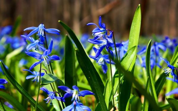 0 105d6d 25adf38d XL