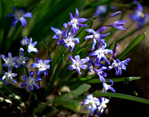 0 49273 a7bb0185  1 L