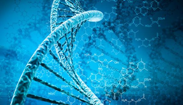 DNA