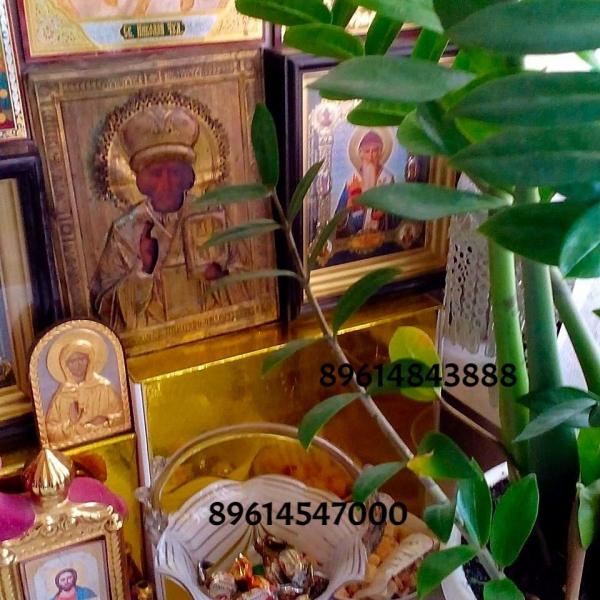 image (11)
