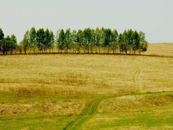 P1040126