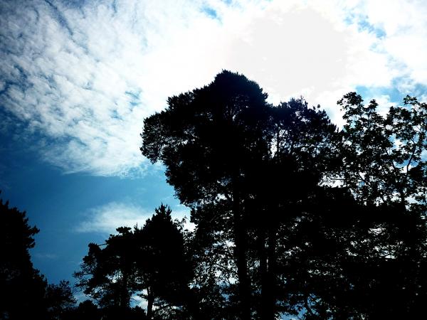 P1050147