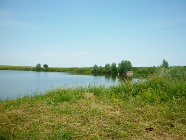 P1070368
